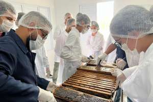 Casa do Mel completa um ano de funcionamento atendendo a apicultura  | Ascom Seagri