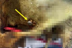 PolÃcia CientÃfica conclui exames no crânio achado em Mar Vermelho | Ascom PolÃcia CientÃfica