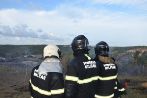 Ocorrências de incêndio em vegetação caem 4% em 2024, em Alagoas | Assessoria