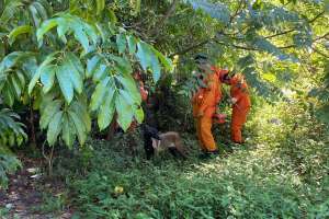 PolÃcia Civil faz buscas para localizar jovem desaparecido em Guaxuma | Reprodução / PC-AL